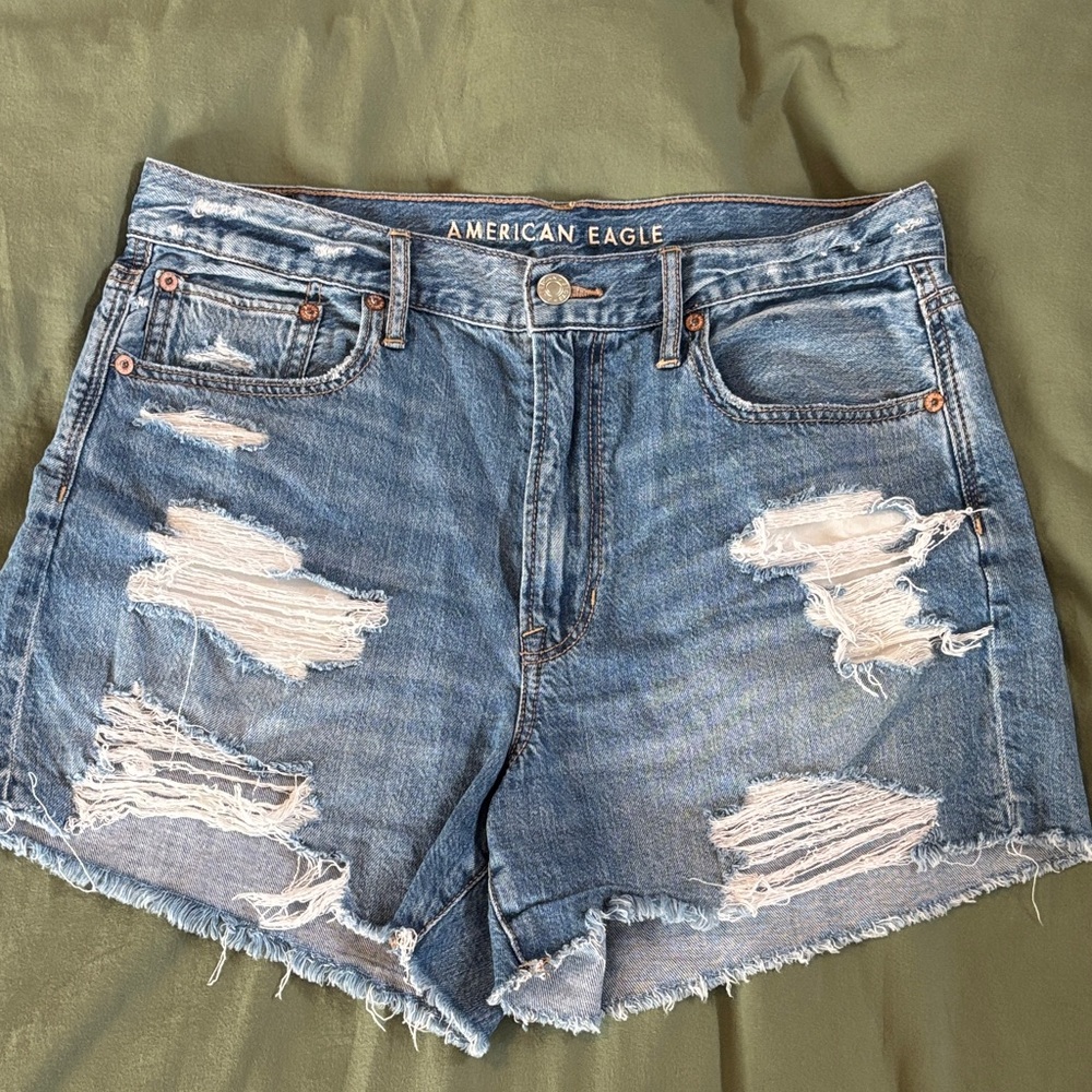 American Eagle Outfitters Light Blue Ripped Jean Shorts